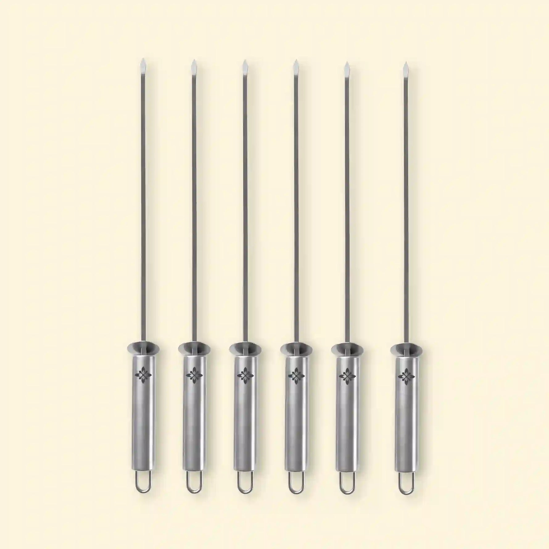 Set de 6 brochettes en inox Vivaplancha avec manches ergonomiques